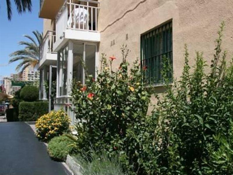 Apartamentos Palm Court Benidorm Luaran gambar